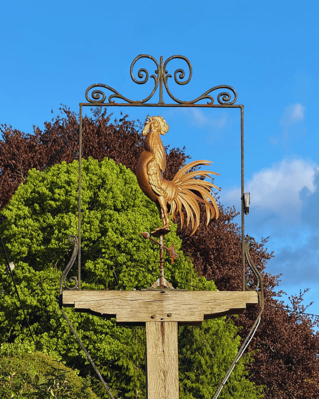 The Best Country Pub Near Me Wimborne | The Cockerel