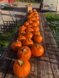 Pumpkin carving Dorset | Halloween Events Wimborne, Dorset | The Cockerel