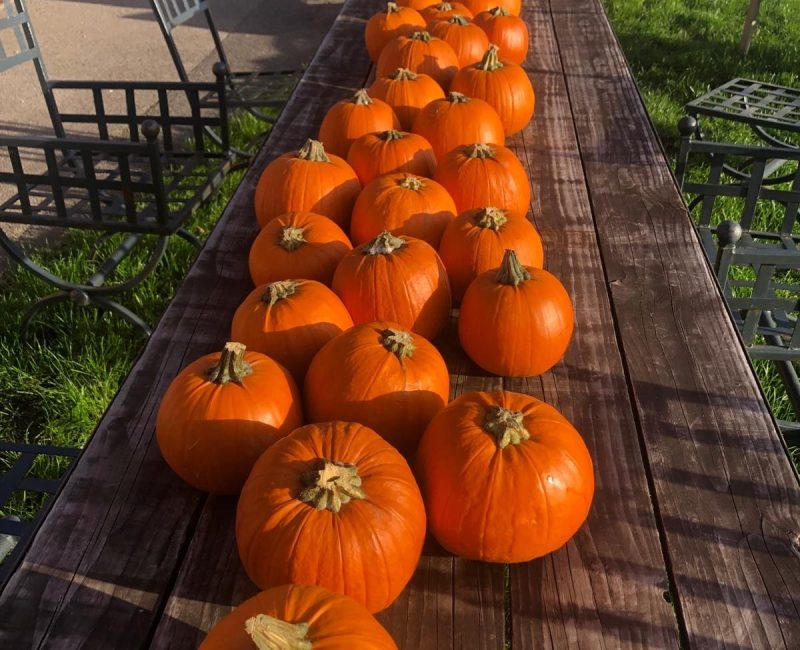Pumpkin carving Dorset | Halloween Events Wimborne, Dorset | The Cockerel
