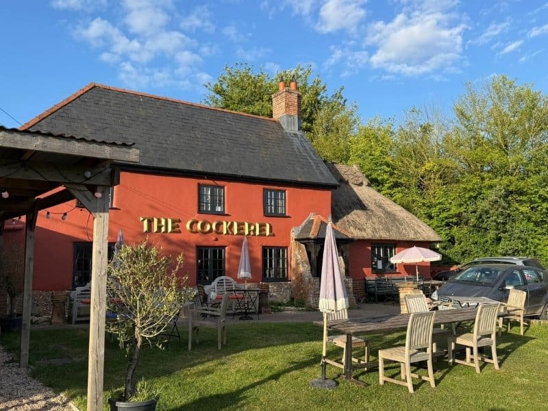 Pubs With Beer Garden In Colehill | The Cockerel